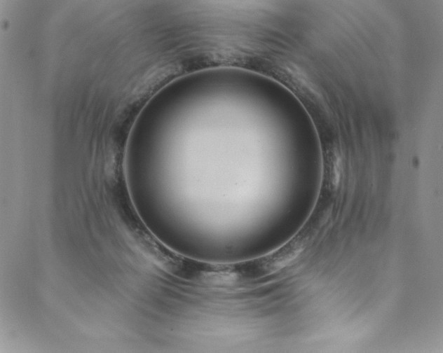 X0000089890266200706281422