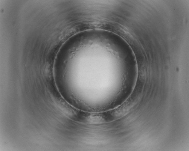 X0000089890270200706281422