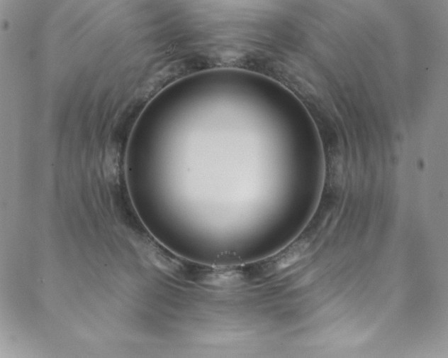 X0000089890274200706281422