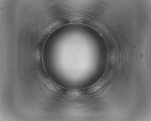 X0000089890282200706281422