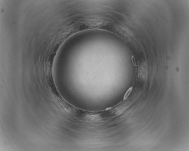 X0000089890283200706281422