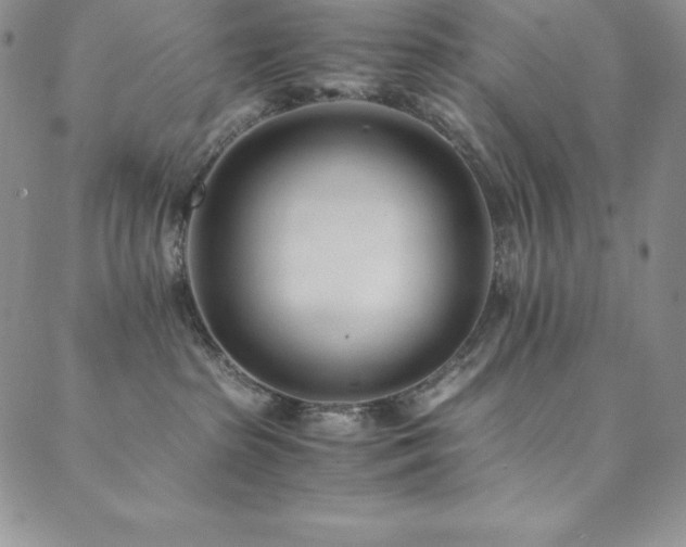 X0000089890285200706281422