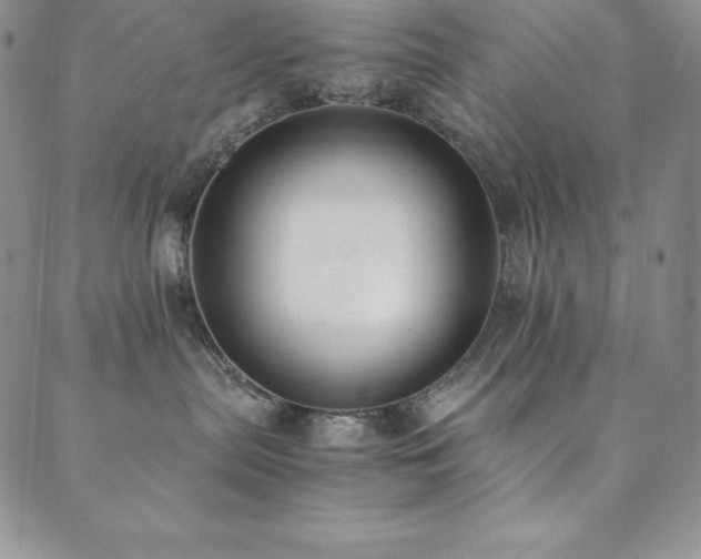 X0000089890287200706281422