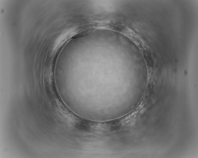 X0000089890293200706281421