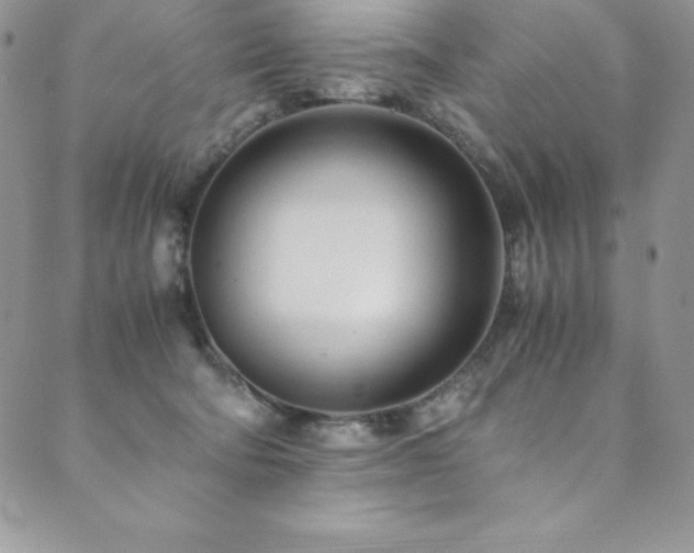 X0000089890322200706281421