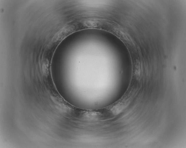 X0000089890332200706281421