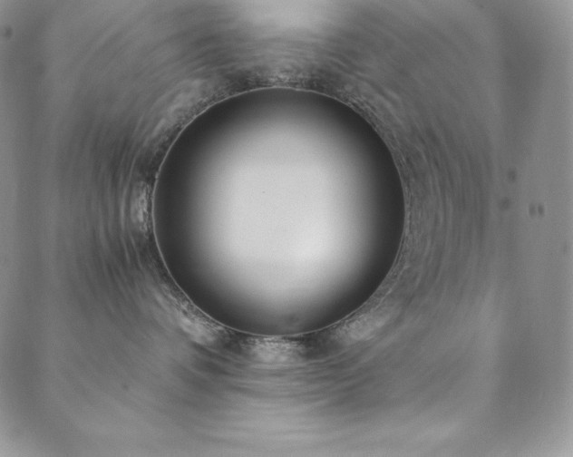 X0000089890336200706281421