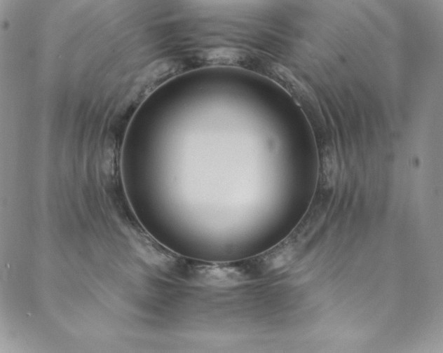 X0000089890379200706281420