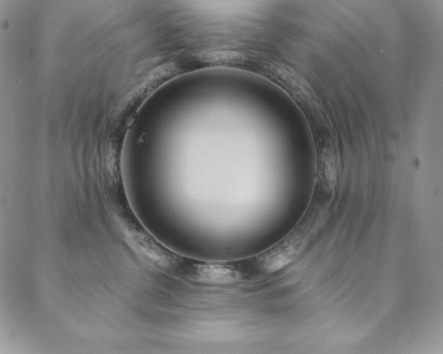 X0000089890380200706281420