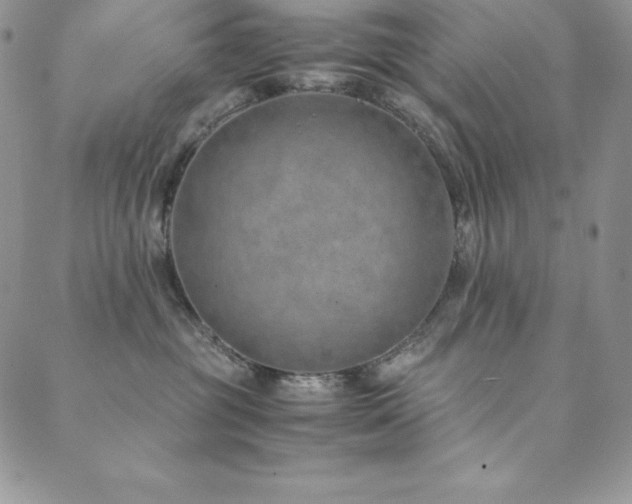X0000089890381200706281420