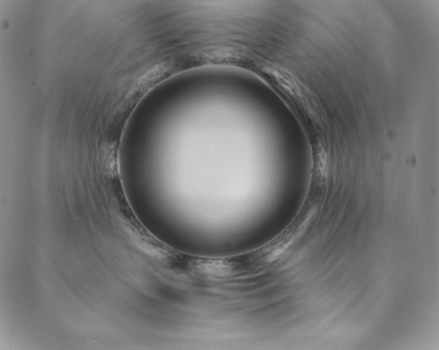 X0000089890383200706281421