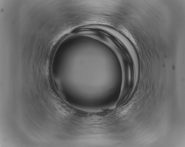 X0000089890387200706281420
