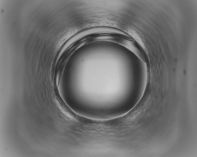 X0000089890389200706281420