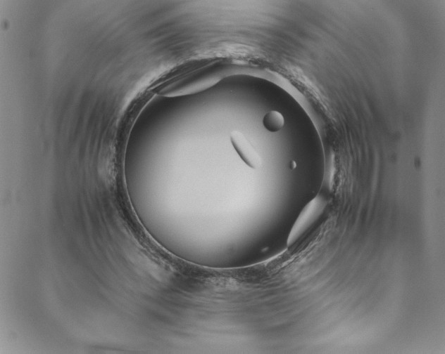 X0000089890392200706281420