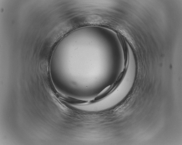 X0000089890397200706281420
