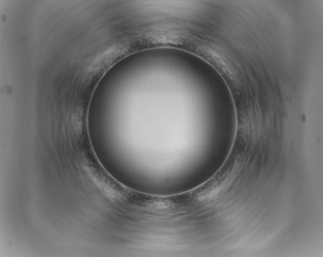 X0000089890402200706281419