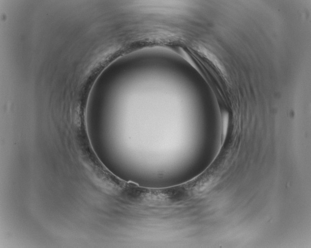 X0000089890403200706281419