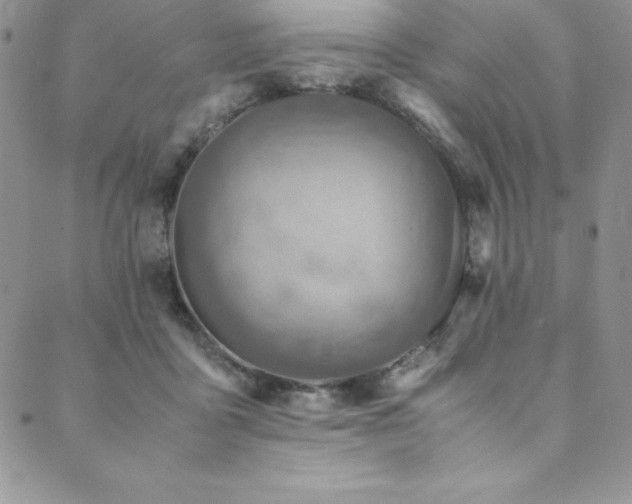 X0000089890411200706281419