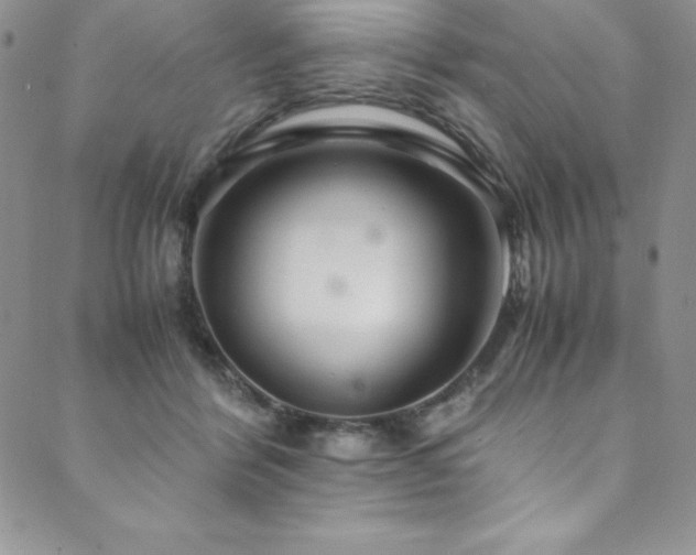 X0000089890412200706281419