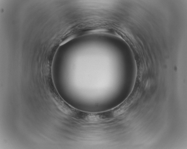 X0000089890413200706281419