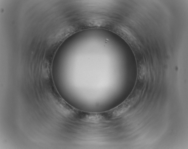 X0000089890414200706281419