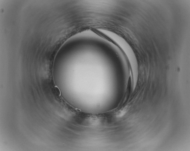 X0000089890416200706281419