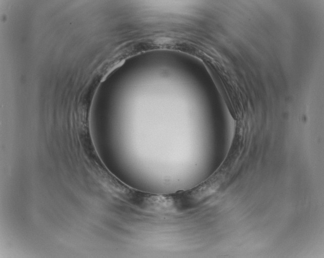 X0000089890421200706281419