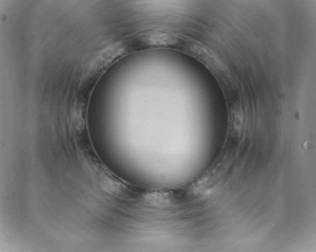 X0000089890422200706281419