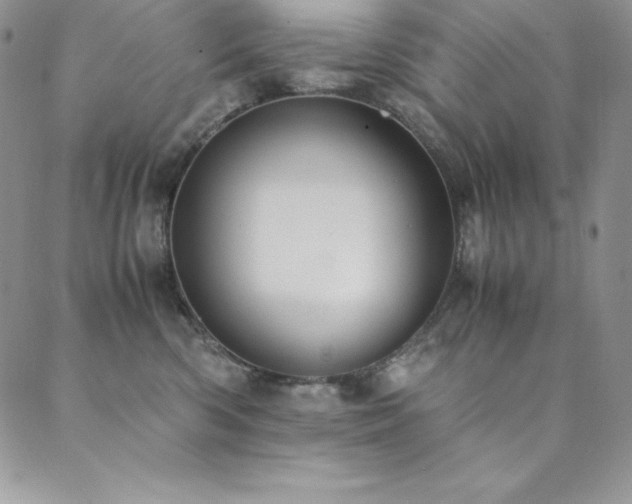 X0000089890426200706281419