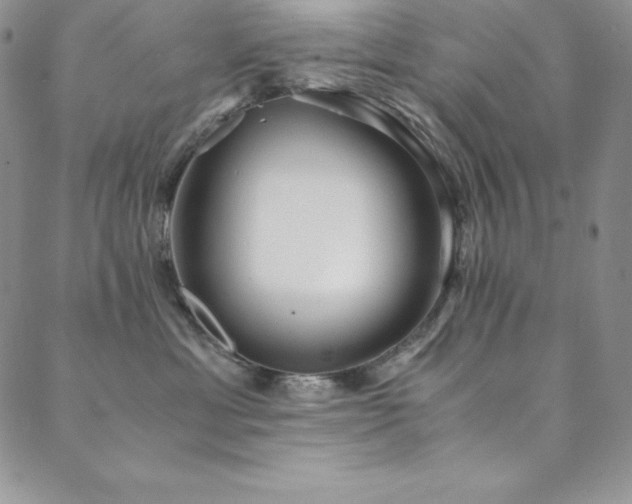 X0000089890429200706281419