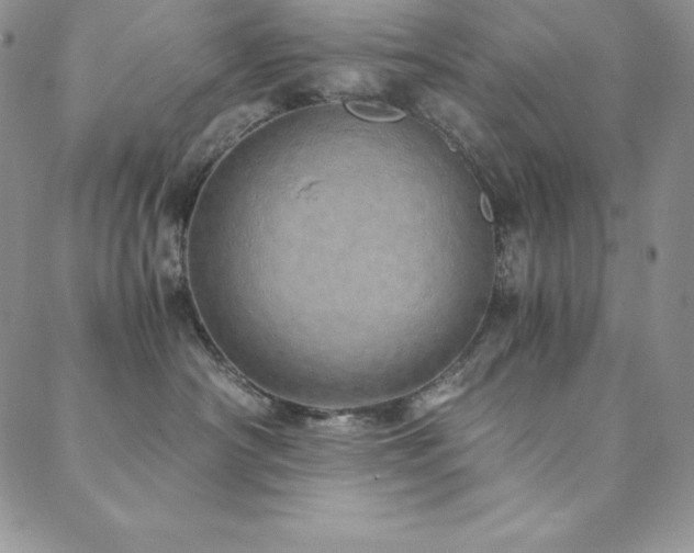 X0000089890430200706281419