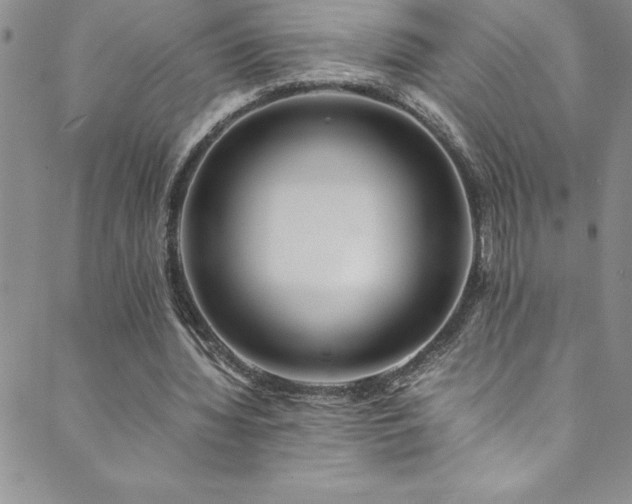 X0000089890436200706281418