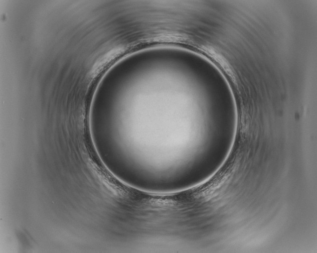 X0000089890437200706281418
