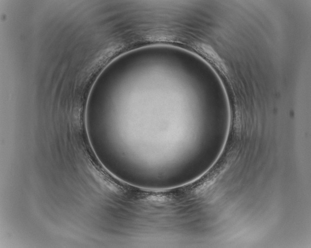 X0000089890441200706281418