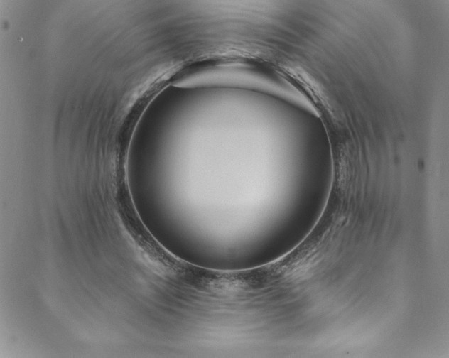 X0000089890444200706281418