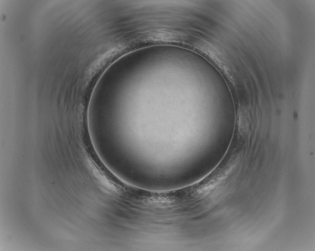 X0000089890445200706281418