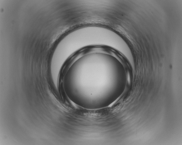 X0000089890448200706281418