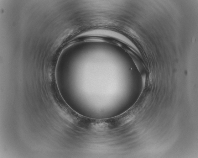X0000089890452200706281419