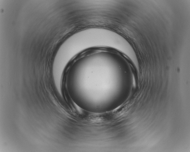 X0000089890456200706281419