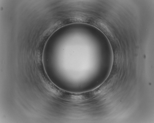 X0000089890457200706281419