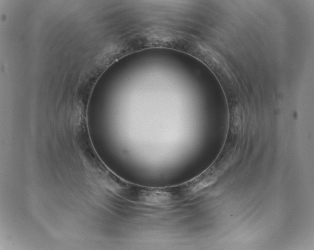 X0000089890463200706281419