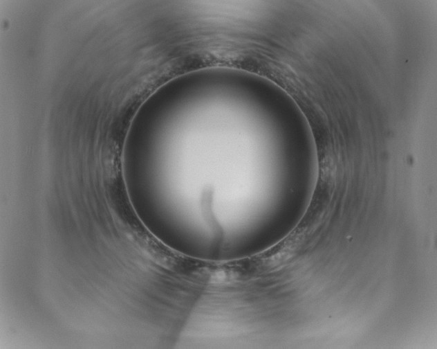 X0000089890464200706281419
