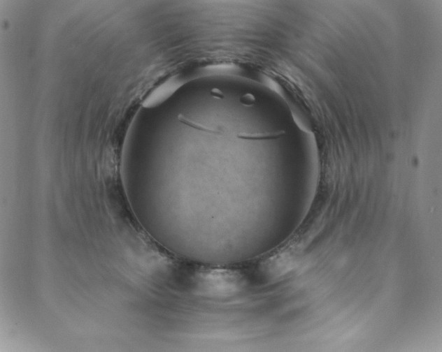 X0000089890467200706281419