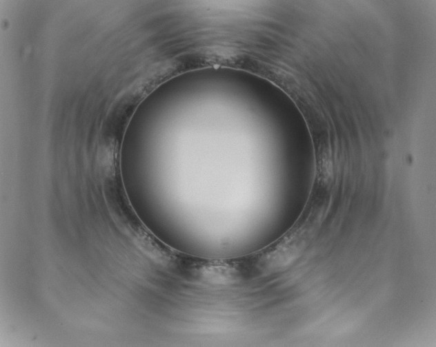 X0000089890468200706281419