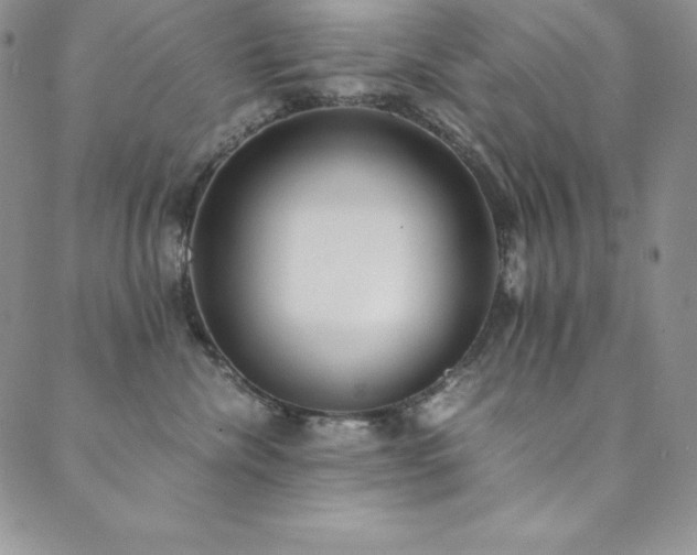 X0000089890476200706281419