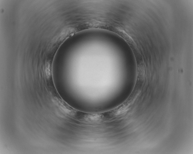 X0000089890479200706281419