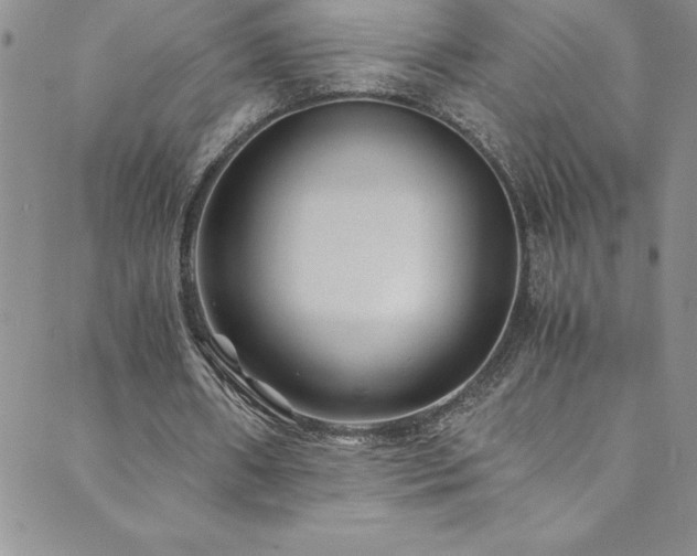 X0000089890482200706281418