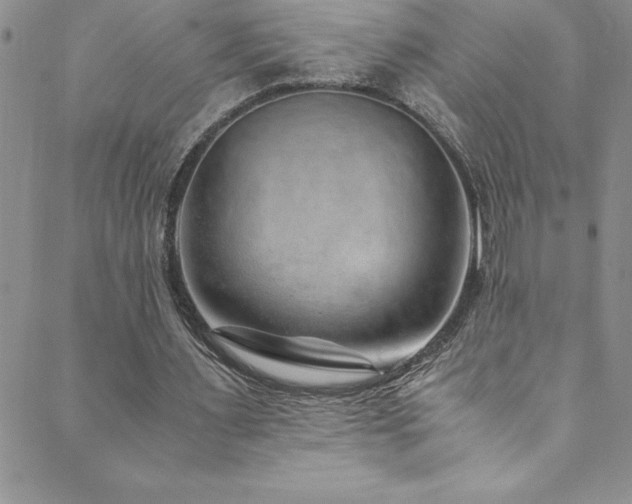 X0000089890483200706281418