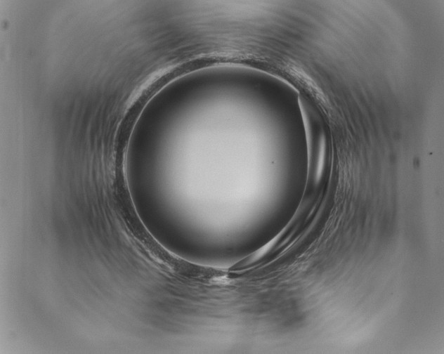 X0000089890484200706281418