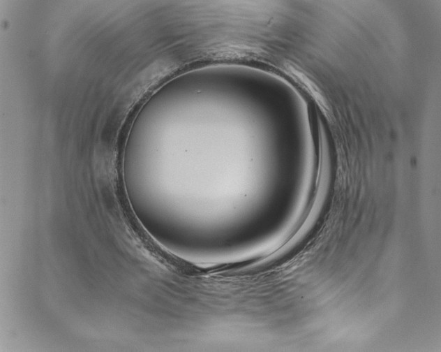 X0000089890485200706281418